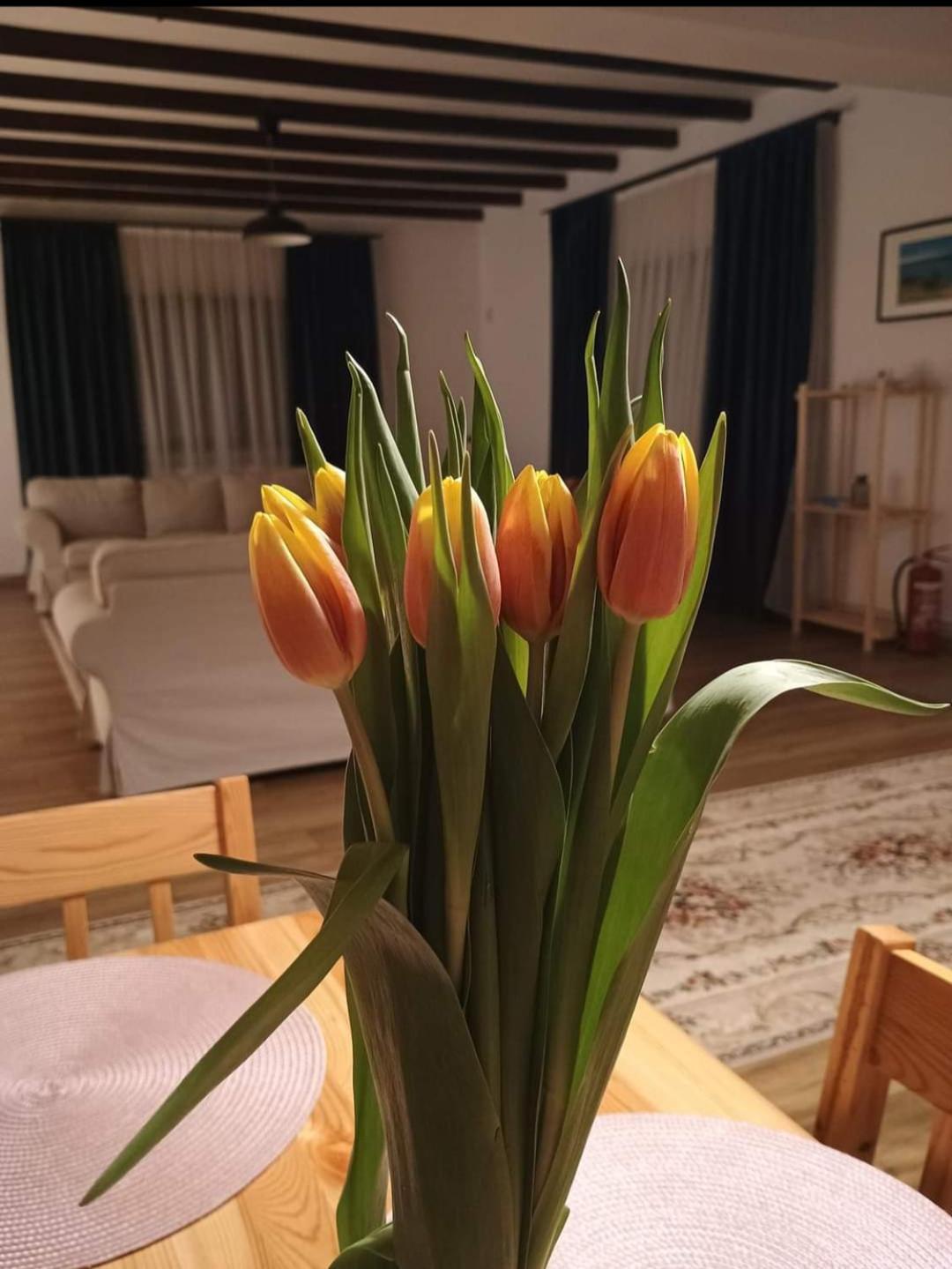 Family House Pristol Apartman Kültér fotó